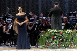 sif61295_ljubica_vranes